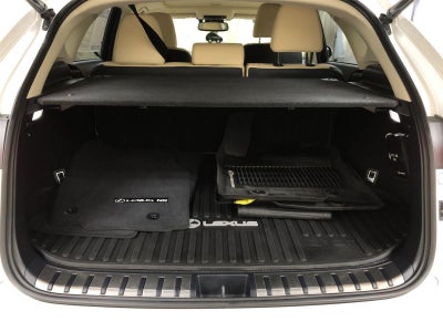 2018 Lexus NX 300 NX 300