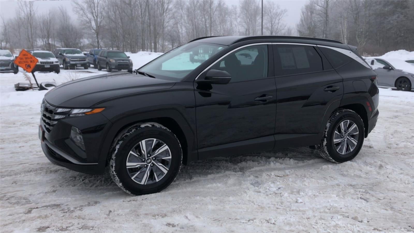 2023 Hyundai Tucson Hybrid Blue